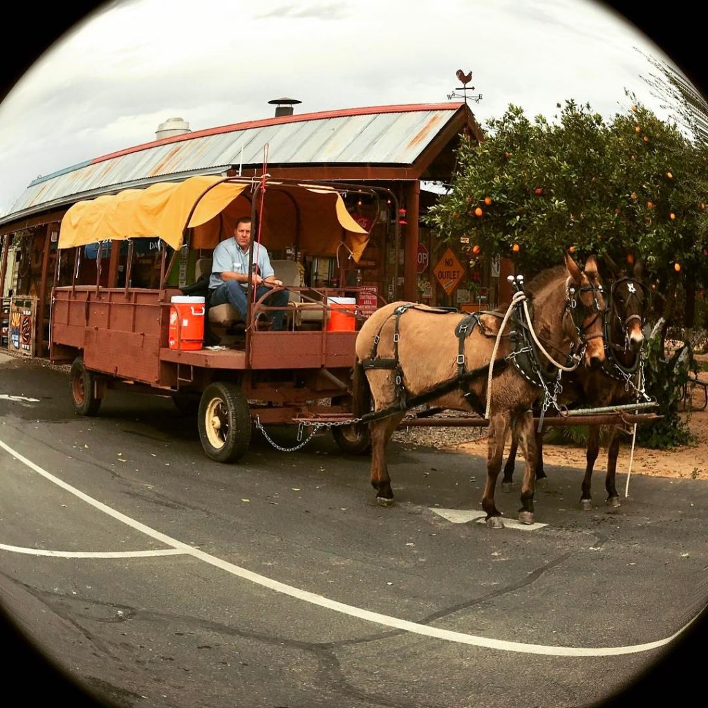Jalapeño Bucks Buckin' Good BBQ and Burritos